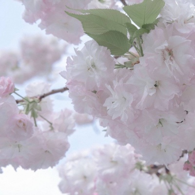 兽设配饰设计灵感FurryQQ群